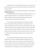 ¿Qué programas ofrece el Export-Import Bank que beneficien, de manera específica, a las pequeñas empresas que intentan exportar?