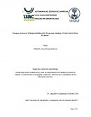 Ensayo del tema “Diabetes Mellitus En Personas Adultas A Partir De 40 Años De Edad”