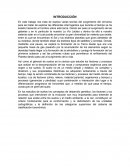 ENSAYO GÉNESIS DEL SUELO