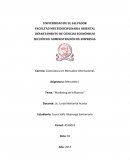 Tema: “Marketing de Influencia”