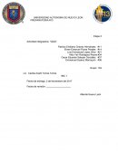 PREPARATORIA #13 Etapa 3 Actividad integradora: “QQQ”