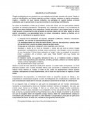 Análisis de la Cultura Google