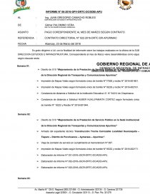 INFORME_17_MENSUAL. Página 1