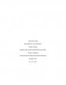 INVESTIGACION PREVENCIÓN DE RIESGOS