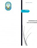 Manual Organización de Funciones