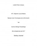 ESTABIEN Manejo de las Tecnologías de la Información