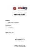 ANALISIS POLLO CAMPERO