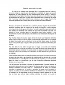 Como se da la Relación agua, suelo y luz solar.