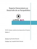 Temas a Incluir en los Anexos de un Proyecto