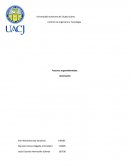 ¿Por qué es importante estudiar la iluminación?