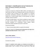 Actividad Identificación de los factores de riesgo: intra laborales, individuales y extra laborales