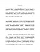 Seguridad, Higiene y Ambiente