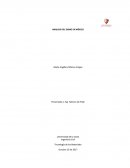 Tecnología de los Materiales