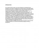 QUE ES LA REINGIENRIA?