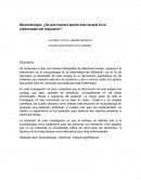 ¿De qué manera aporta esta terapia en la enfermedad del Alzheimer?