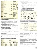 LEYES DE GREGOR MENDEL