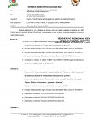 INFORME_17_MENSUAL