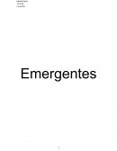 Emergentes SINOPSIS