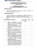 FERROSOLUCIONES DEL PERU SAC. AUDITORIA DE LOS ESTADOS FINANCIEROS