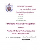 ENSAYO TRIBUNAL ADMINISTRATIVO
