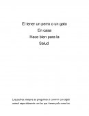 Como es el Tener mascota mejora la salud