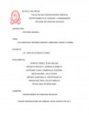 CULTURAS DEL PRÓXIMO ORIENTE: BABILONIA, ASIRIA Y PERSIA