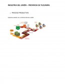 Proceso Productivo Limón Argentina