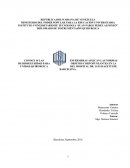 CONOCE SI LAS ENFERMERAS APLICAN LAS NORMAS DE BIOSEGURIDAD PARA OBJETOS CORTOPUNZANTES EN LA UNIDAD QUIRURGICA DEL HOSPITAL DR. LUIS RAZETTI DE BARCELONA.