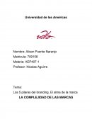 LA COMPLEJIDAD DE LAS MARCAS
