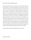 PROCESOS DE MEJORA EN EMPRESA FAMILIAR.
