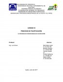 PROCESOS INDUSTRIALES DE LA PULPA Y EL PAPEL