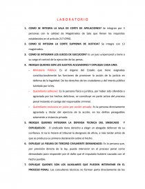 LABORATORIO PROCESAL PENAL. Página 1