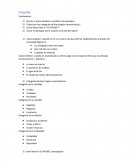 Filosofia Kant – “yo pienso”