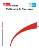 La Programación como asignatura