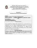 ANTEPROYECTO DE PRÁCTICAS PROFESIONALES