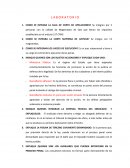 LABORATORIO PROCESAL PENAL