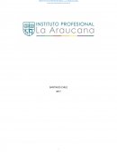 Informe análisis de ratios