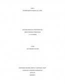 TAREA I RECONOCIMIENTO GENERAL DEL CURSO