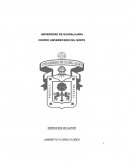 DERECHOS DE AUTOR TRABAJO