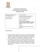 NEOCONSTITUCIONALISMO IDEOLÓGICO Y CONSTITUCIONALISMO MULTINIVEL