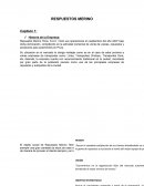 Caso Repuestos Merino Hnos. S.A.C.