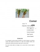 Comercio ilegal de animales