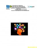 ENSAYO EDUCACIÓN HOLISTICA