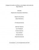 Reparación de aparatos hidráulicos Reporte de práctica