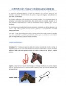 CONTENCIÓN FISICOQUÍMICA EN CABALLOS
