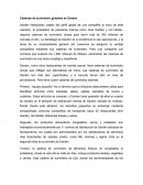 Cadenas de suministro globales en Darden