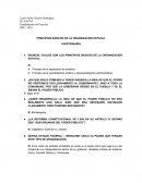 PRINCIPIOS BASICOS DE LA ORGANIZACIÓN ESTATAL