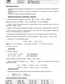Prueba Termoquimica Guía de ejercicios