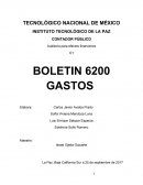 CONTADOR PÚBLICO Auditoría para efectos financieros