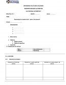 Como se da la Radiografia